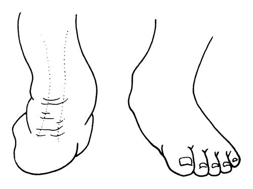 liuhaihong2015_20161226111248_jafkj.jpg