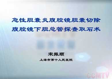 宋振顺：急性胆囊炎腹腔镜胆囊切除+腹腔镜下胆总管探查取石术