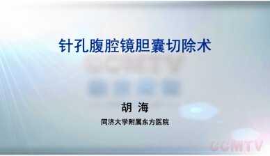 胡海：针孔腹腔镜胆囊切除术
