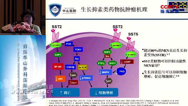 刘天舒：胰腺神经内分泌肿瘤的药物治疗进展