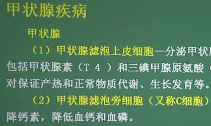 内分泌系统：甲状腺疾病