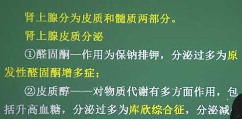 内分泌系统：肾上腺疾病