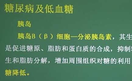 内分泌系统：糖尿病及低血糖