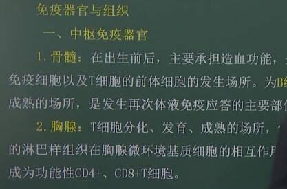 医学免疫学：免疫器官与组织