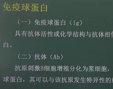 医学免疫学：免疫球蛋白