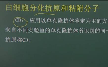 医学免疫学：白细胞分化抗原和粘附分子