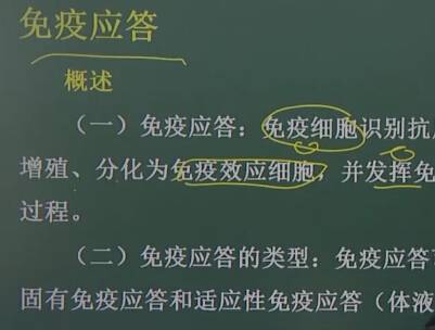 医学免疫学：免疫应答（一）