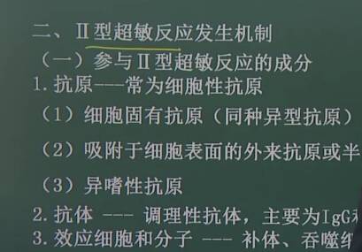 医学免疫学：II型超敏反应