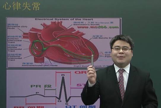 心血管系统：心律失常（一）