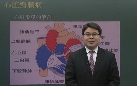 心血管系统：心脏瓣膜病（一）