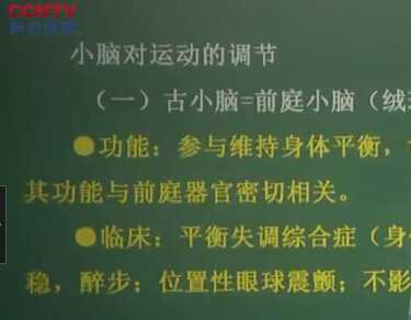 生理学：小脑对运动的调节