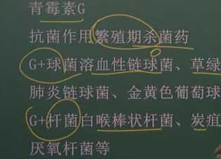 药理学：β-内酰胺类抗生素