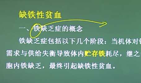 血液系统：缺铁性贫血