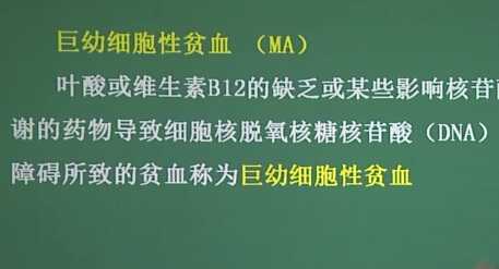 血液系统：巨幼贫血和溶血贫血