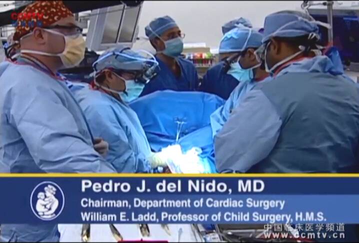PJ Nido：复杂先天性心脏缺损修复