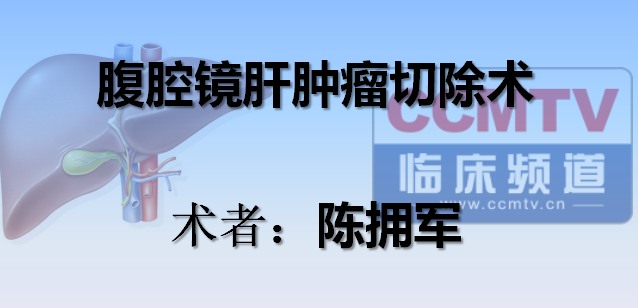 陈拥军：腹腔镜肝肿瘤切除术