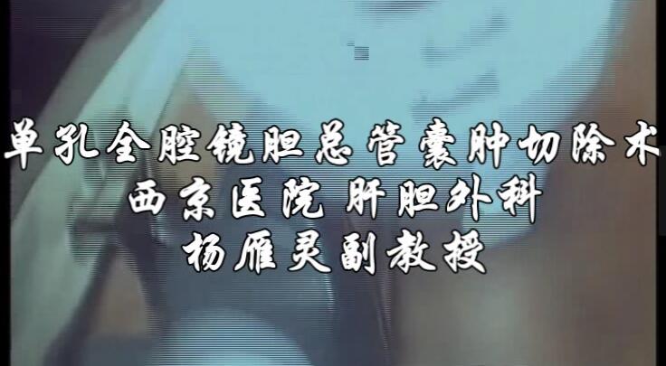 杨雁灵：单孔全腔镜胆总管囊肿切除术
