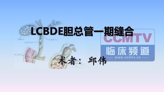 邱伟：LCBDE胆总管一期缝合