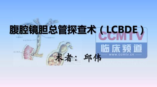 邱伟：腹腔镜胆总管探查术（LCBDE）