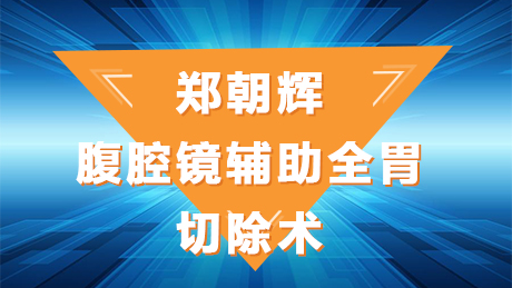 郑朝辉：腹腔镜辅助全胃切除术D2