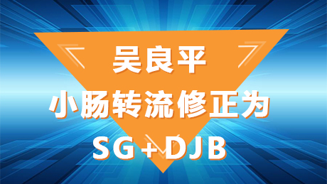 吴良平：小肠转流修正为SG+DJB