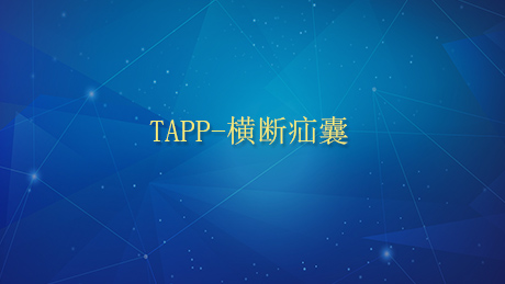 TAPP-横断疝囊