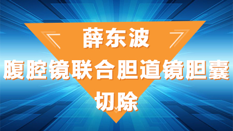 薛东波：腹腔镜联合胆道镜胆囊切除