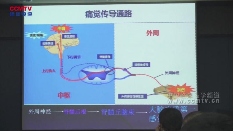 李恒爽：肛肠疾病术后镇痛