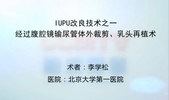李学松：IUPU改良技术之一经过腹腔镜输尿管体外裁剪、乳头再植术