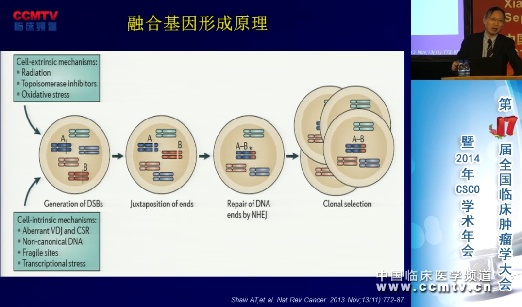 周彩存：克唑替尼耐药后ALK阳性患者的治疗