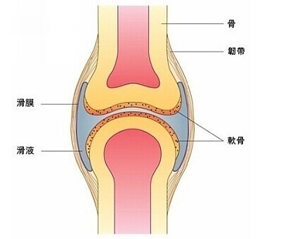 是时候考虑关节囊了