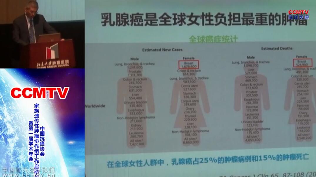 解云涛：家族遗传性乳腺癌的诊断和治疗策略