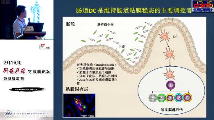 刘凯军：肠道树突状细胞 - 粘膜免疫的主要调控者