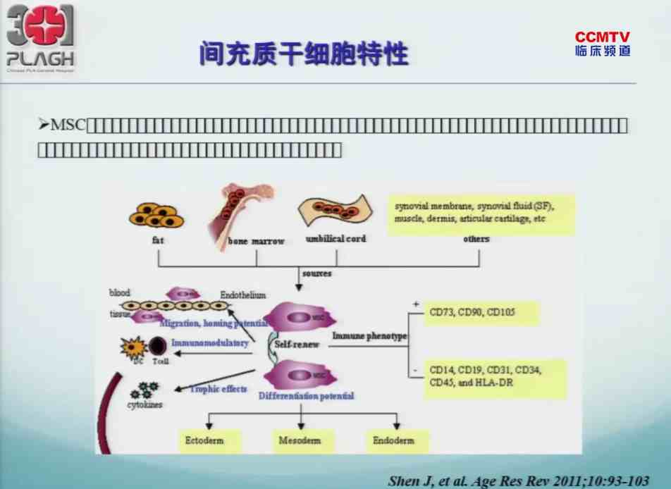 杨丽娟：间充质干细胞治疗糖尿病的研究