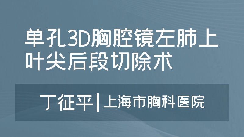 单孔3D胸腔镜左肺上叶尖后段切除术