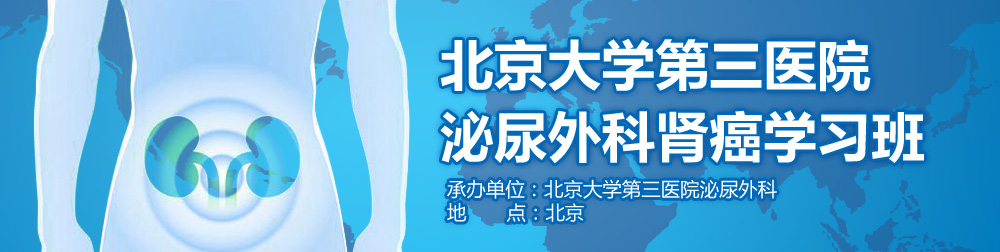 北京大学第三医院泌尿外科肾癌学习班