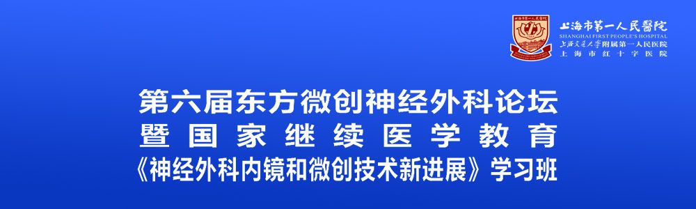 第六届东方微创神经外科论坛