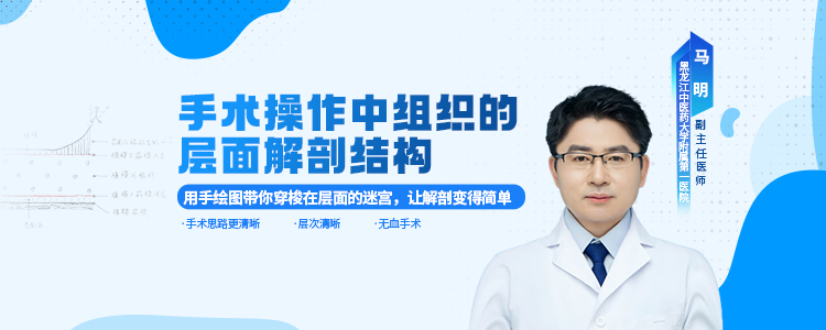 层面的基本结构与形成原理